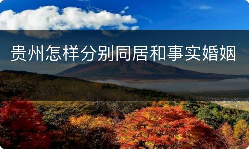 贵州怎样分别同居和事实婚姻