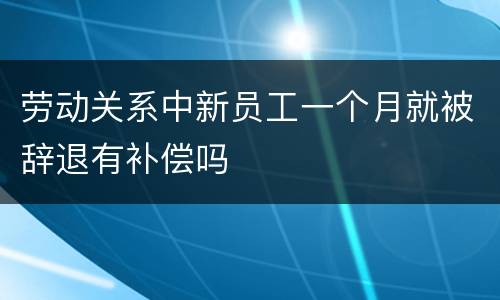 劳动关系中新员工一个月就被辞退有补偿吗