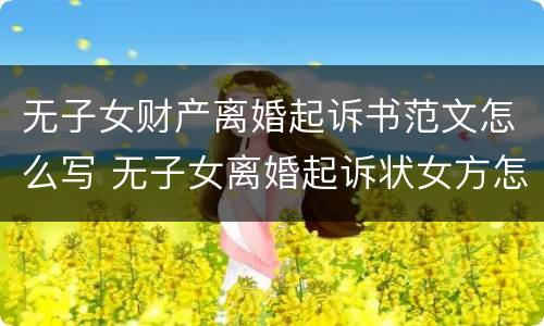无子女财产离婚起诉书范文怎么写 无子女离婚起诉状女方怎么写