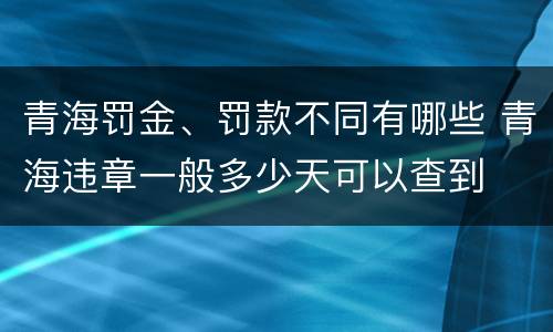 青海罚金、罚款不同有哪些 青海违章一般多少天可以查到