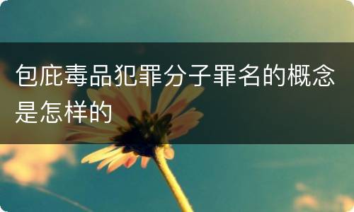 包庇毒品犯罪分子罪名的概念是怎样的