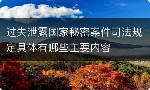 过失泄露国家秘密案件司法规定具体有哪些主要内容