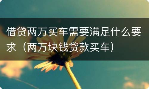 借贷两万买车需要满足什么要求（两万块钱贷款买车）