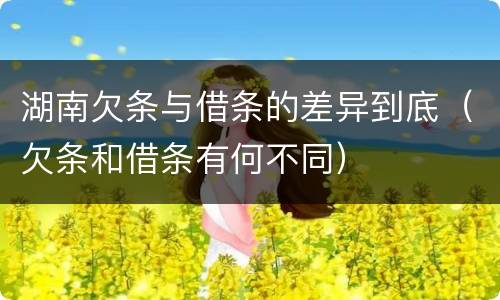 湖南欠条与借条的差异到底（欠条和借条有何不同）