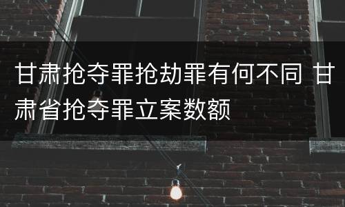 甘肃抢夺罪抢劫罪有何不同 甘肃省抢夺罪立案数额