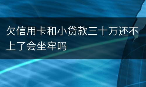欠信用卡和小贷款三十万还不上了会坐牢吗