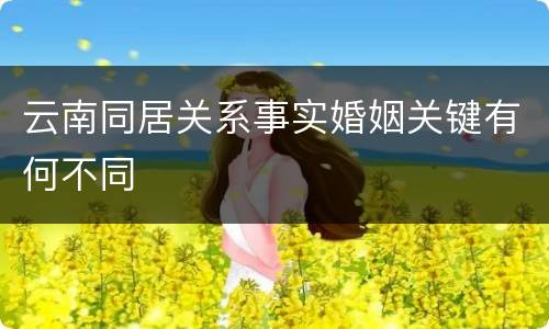云南同居关系事实婚姻关键有何不同