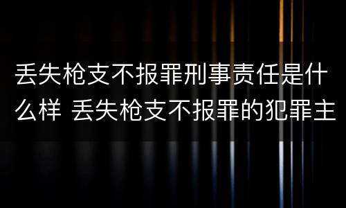 丢失枪支不报罪刑事责任是什么样 丢失枪支不报罪的犯罪主体只能是什么