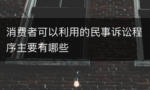 消费者可以利用的民事诉讼程序主要有哪些