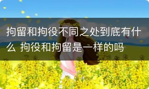 拘留和拘役不同之处到底有什么 拘役和拘留是一样的吗