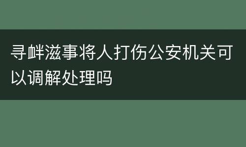 寻衅滋事将人打伤公安机关可以调解处理吗