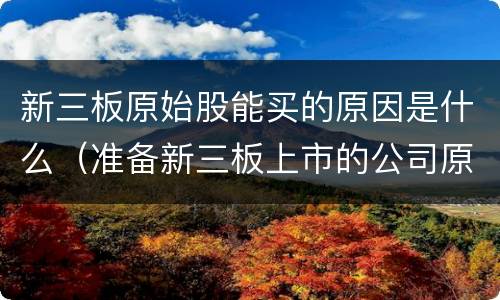 新三板原始股能买的原因是什么（准备新三板上市的公司原始股可以买吗）