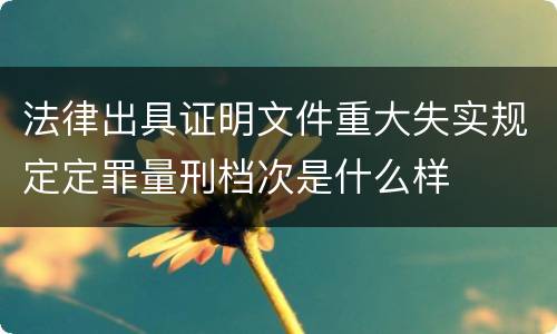 法律出具证明文件重大失实规定定罪量刑档次是什么样