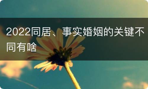 2022同居、事实婚姻的关键不同有啥