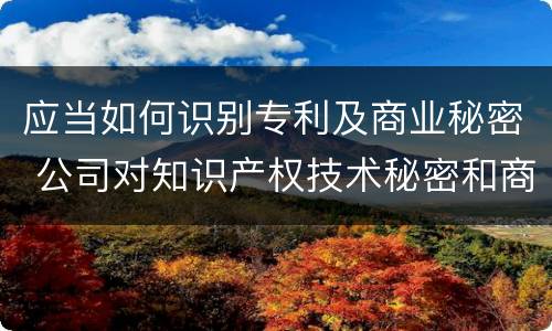 应当如何识别专利及商业秘密 公司对知识产权技术秘密和商业秘密的保护措施