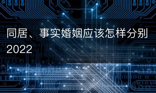 同居、事实婚姻应该怎样分别2022