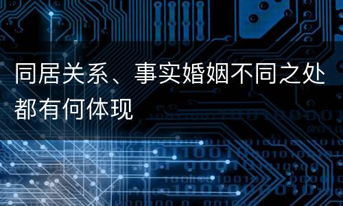 同居关系、事实婚姻不同之处都有何体现
