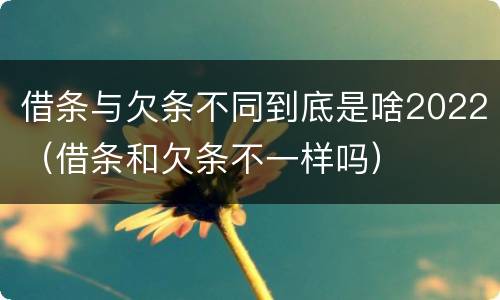 借条与欠条不同到底是啥2022（借条和欠条不一样吗）