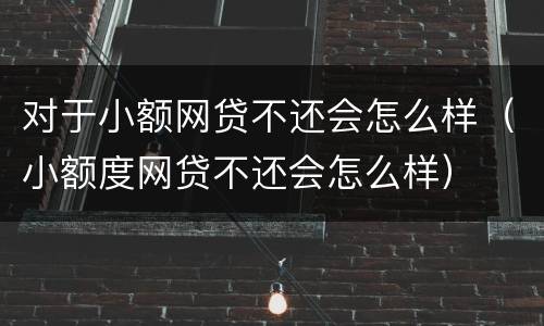对于小额网贷不还会怎么样（小额度网贷不还会怎么样）