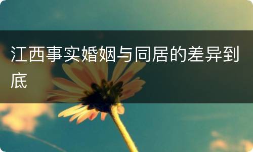 江西事实婚姻与同居的差异到底