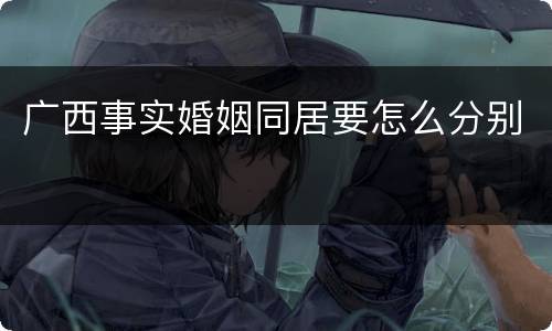 广西事实婚姻同居要怎么分别