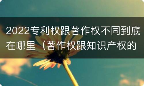 2022专利权跟著作权不同到底在哪里（著作权跟知识产权的区别）