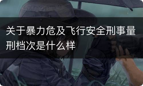 关于暴力危及飞行安全刑事量刑档次是什么样