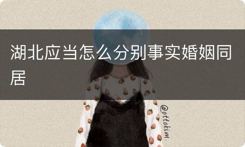 湖北应当怎么分别事实婚姻同居