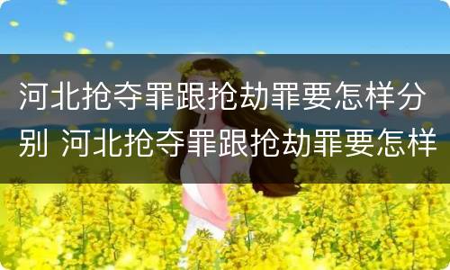 河北抢夺罪跟抢劫罪要怎样分别 河北抢夺罪跟抢劫罪要怎样分别判刑