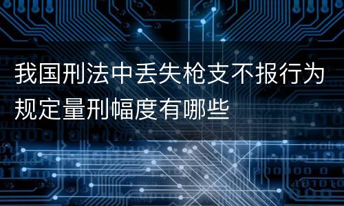 我国刑法中丢失枪支不报行为规定量刑幅度有哪些
