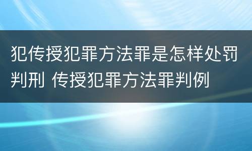 犯传授犯罪方法罪是怎样处罚判刑 传授犯罪方法罪判例