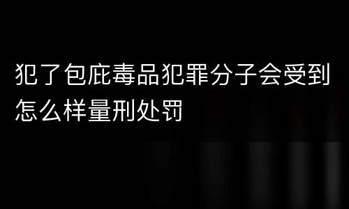 犯了包庇毒品犯罪分子会受到怎么样量刑处罚