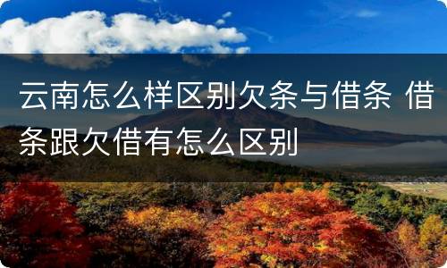 云南怎么样区别欠条与借条 借条跟欠借有怎么区别