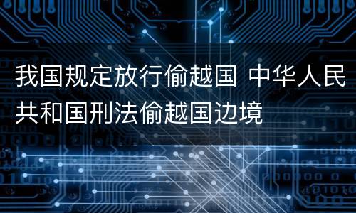 我国规定放行偷越国 中华人民共和国刑法偷越国边境
