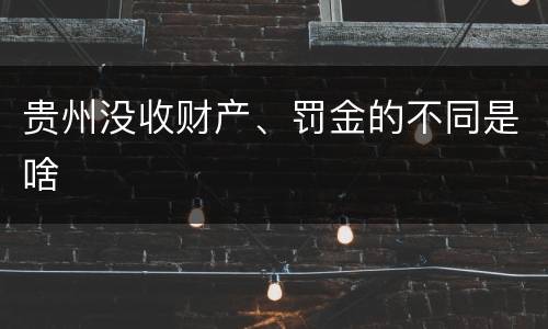 贵州没收财产、罚金的不同是啥