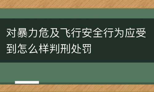 对暴力危及飞行安全行为应受到怎么样判刑处罚