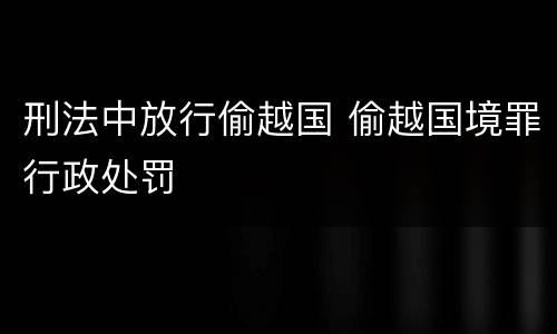 刑法中放行偷越国 偷越国境罪行政处罚