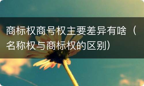 商标权商号权主要差异有啥（名称权与商标权的区别）