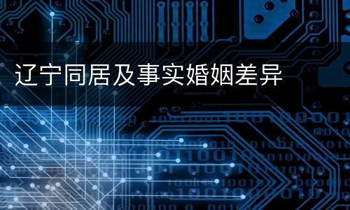辽宁同居及事实婚姻差异