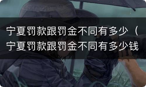 宁夏罚款跟罚金不同有多少（宁夏罚款跟罚金不同有多少钱）