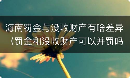 海南罚金与没收财产有啥差异（罚金和没收财产可以并罚吗）