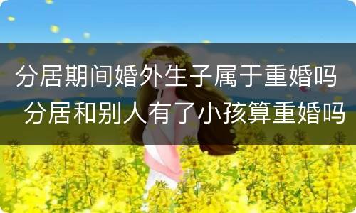 分居期间婚外生子属于重婚吗 分居和别人有了小孩算重婚吗