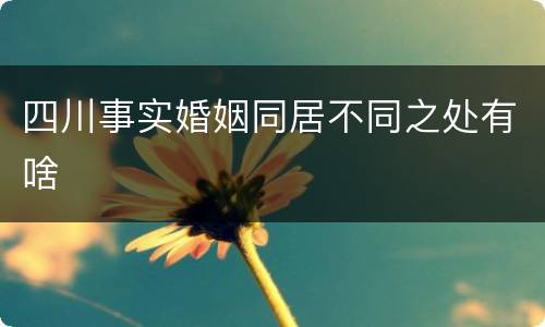 四川事实婚姻同居不同之处有啥