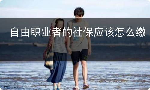  自由职业者的社保应该怎么缴