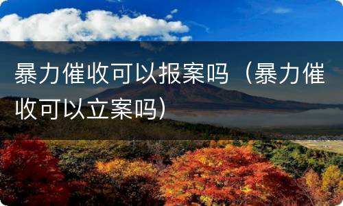 暴力催收可以报案吗（暴力催收可以立案吗）
