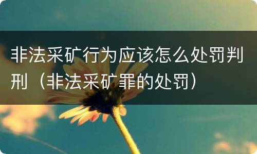 非法采矿行为应该怎么处罚判刑（非法采矿罪的处罚）