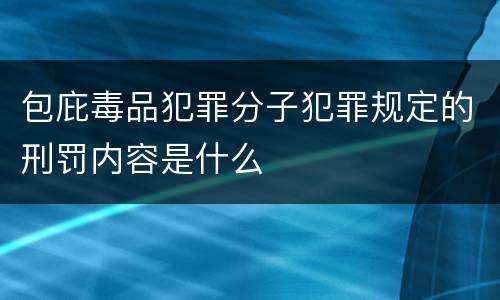 包庇毒品犯罪分子犯罪规定的刑罚内容是什么