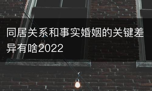 同居关系和事实婚姻的关键差异有啥2022