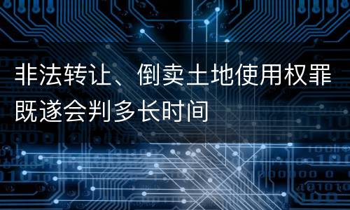 非法转让、倒卖土地使用权罪既遂会判多长时间