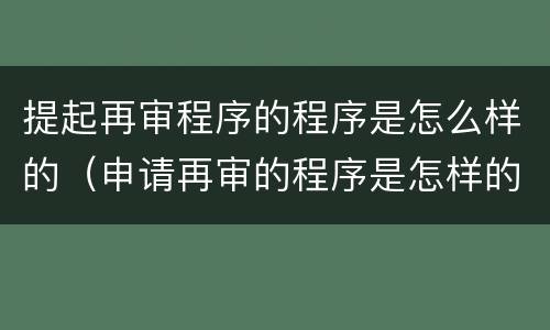 提起再审程序的程序是怎么样的（申请再审的程序是怎样的）